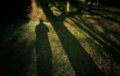 Shadow of person on grass