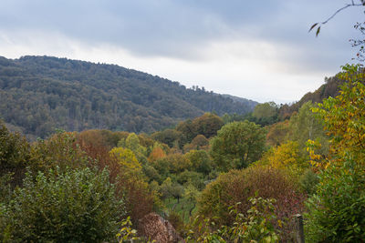 nature