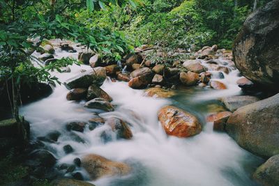 Scenic view of waterfall