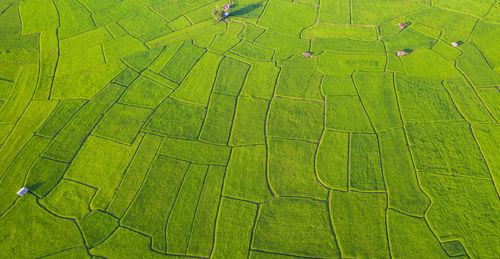 Aerial view of farm