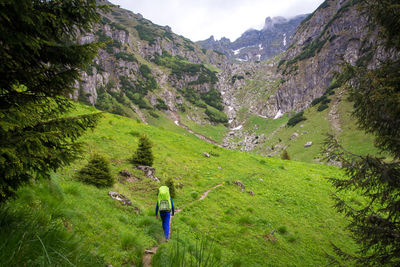 Rear view of man walking on mountain