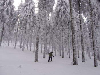 Rear view of person on snow covered land