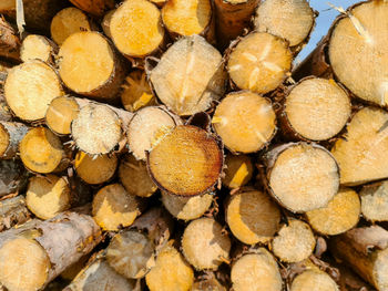 Full frame shot of wood pile