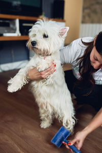 Midsection of woman with dog on floor