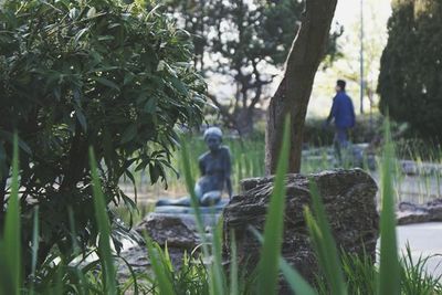 Plants growing in a garden