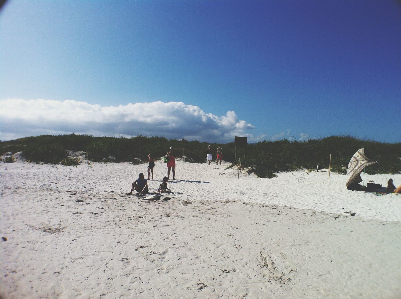 lifestyles, leisure activity, men, large group of people, beach, person, vacations, sky, sand, togetherness, water, sea, medium group of people, mixed age range, tourist, enjoyment, blue, tourism