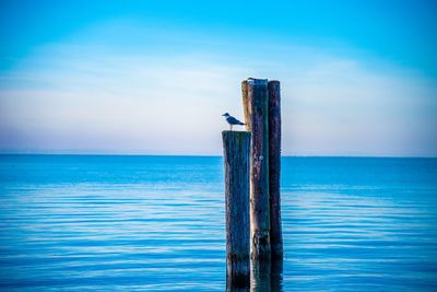 Wooden post in sea against sky