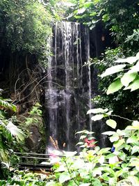 Scenic view of waterfall in forest