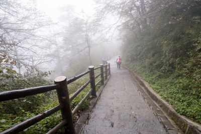 Rear view of person walking on footpath during foggy weather