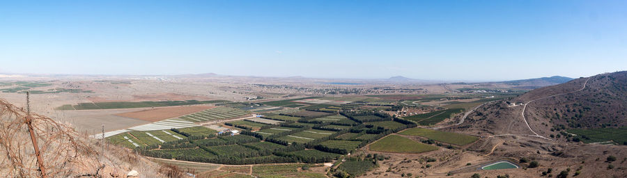 Scenic view of agricultural field against clear sky