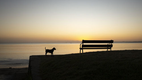 Silhouette horse on beach against sky during sunset