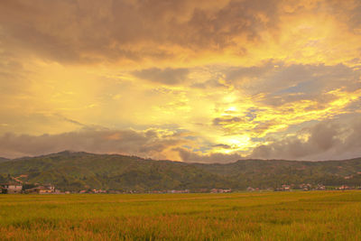 Scenic view of field against sky during sunset