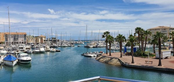 Sailboats moored in harbor against sky