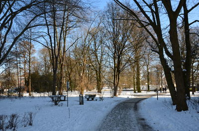 Bare trees on snow covered landscape