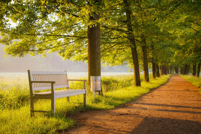 Empty benches against trees on landscape