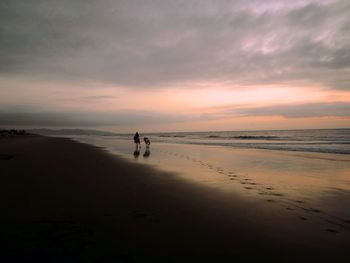 Silhouette dog on beach against sky during sunset