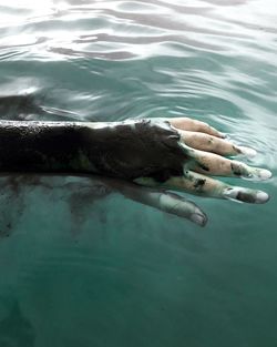 Person swimming in sea