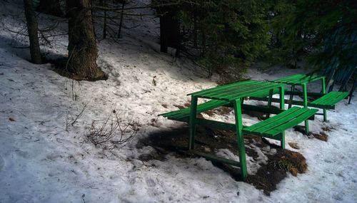 Snow covered bench in forest