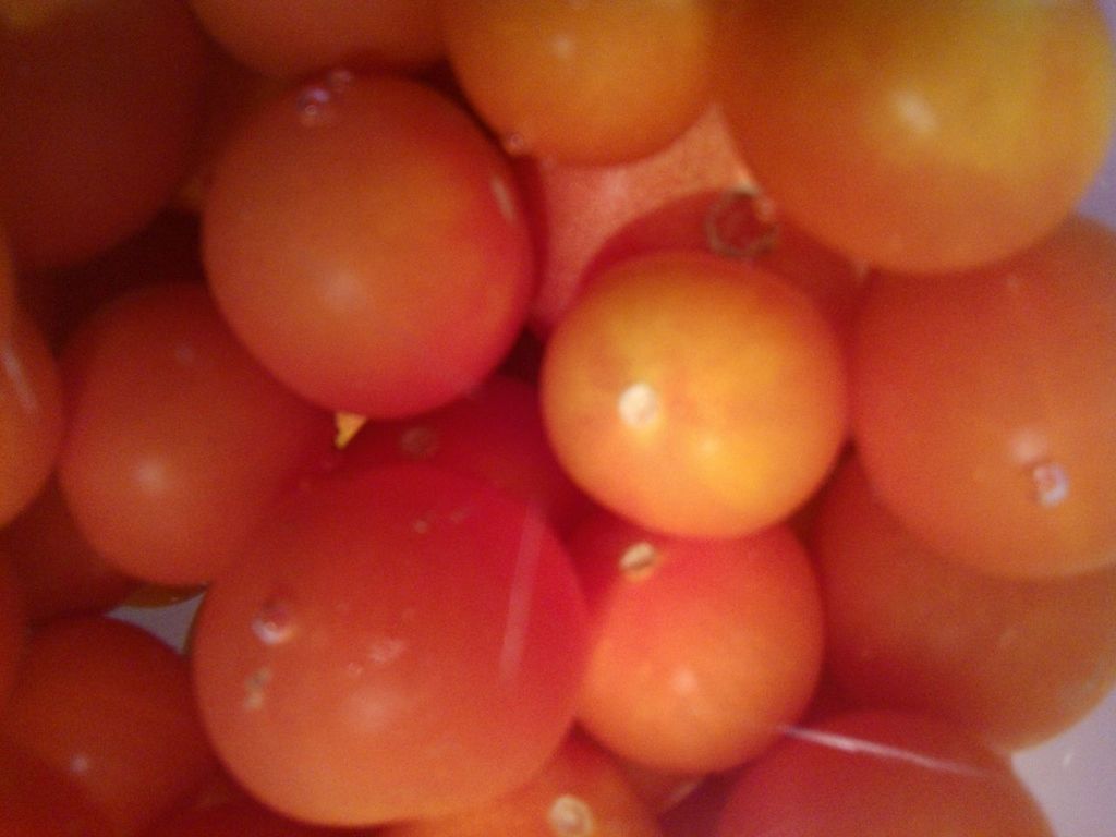 food and drink, food, healthy eating, freshness, fruit, close-up, indoors, full frame, abundance, large group of objects, still life, backgrounds, organic, juicy, no people, selective focus, orange - fruit, focus on foreground, ripe, egg