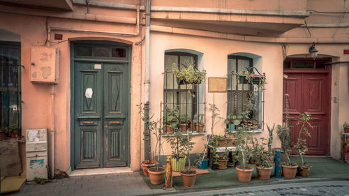 Potted plants outside building