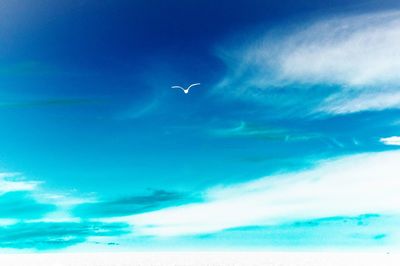 Low angle view of vapor trail in sky