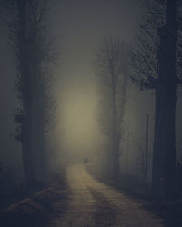 Road amidst trees against sky during foggy weather