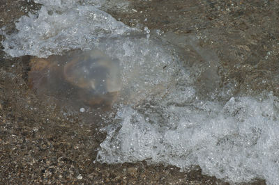 High angle view of bubbles on beach