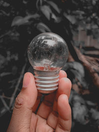 Close-up of hand holding light bulb