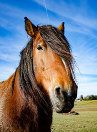 One eye, long hair