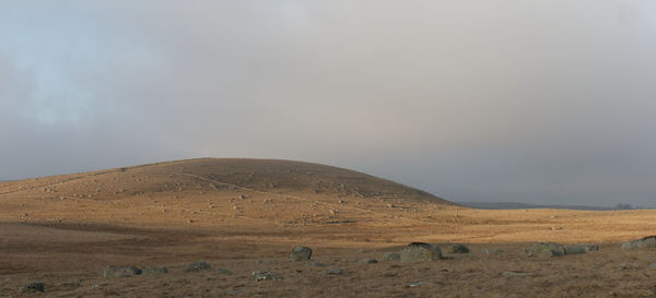 Scenic view of desert against sky