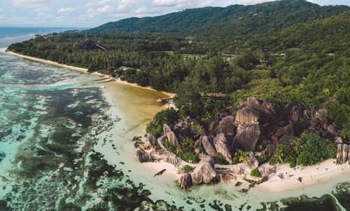 High angle view of river amidst trees