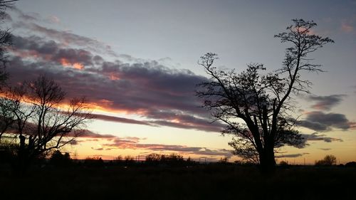 Silhouette of trees on landscape against cloudy sky