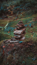 Close-up of stack of tree stump on field