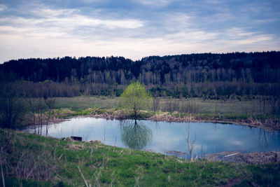 Scenic view of lake and trees against sky