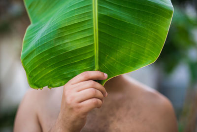 Close-up of hand holding banana leaf over face