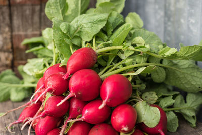 Close-up of fresh radishes