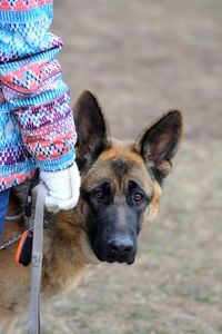 Close-up portrait of dog