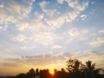 Low angle view of silhouette trees against sky during sunset