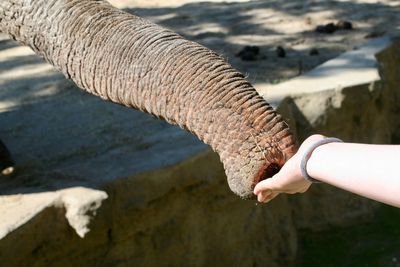 Midsection of person holding stick