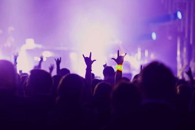 Group of people at music concert