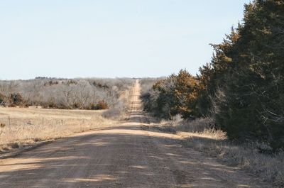 Dirt road amidst trees against clear sky