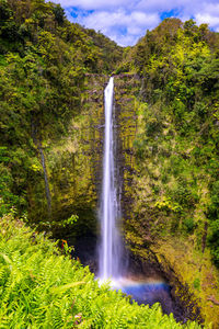 Scenic view of waterfall in forest