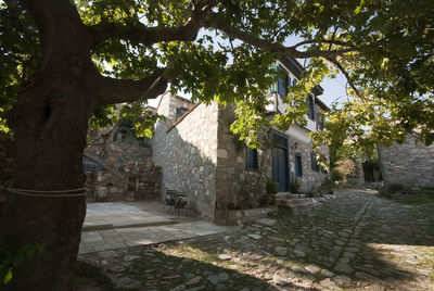 Footpath amidst trees and buildings in city