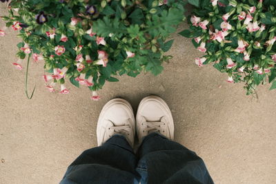 Low section of woman standing by plants