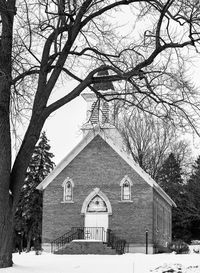 Bare trees and buildings against sky during winter