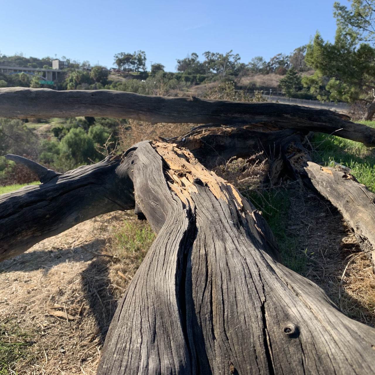 SCENIC VIEW OF ARID LANDSCAPE