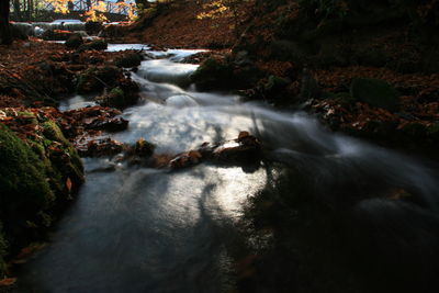 Scenic view of waterfall in forest