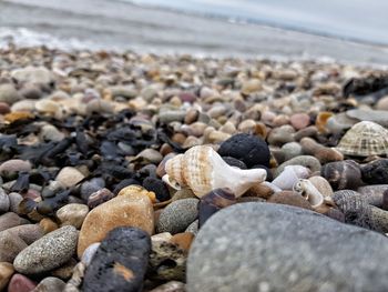 Surface level of pebbles on shore