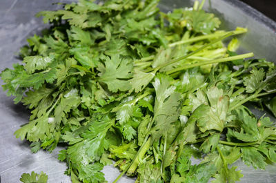 High angle view of chopped leaves