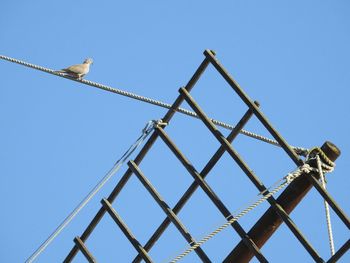 Low angle view of bird perching on metal against sky